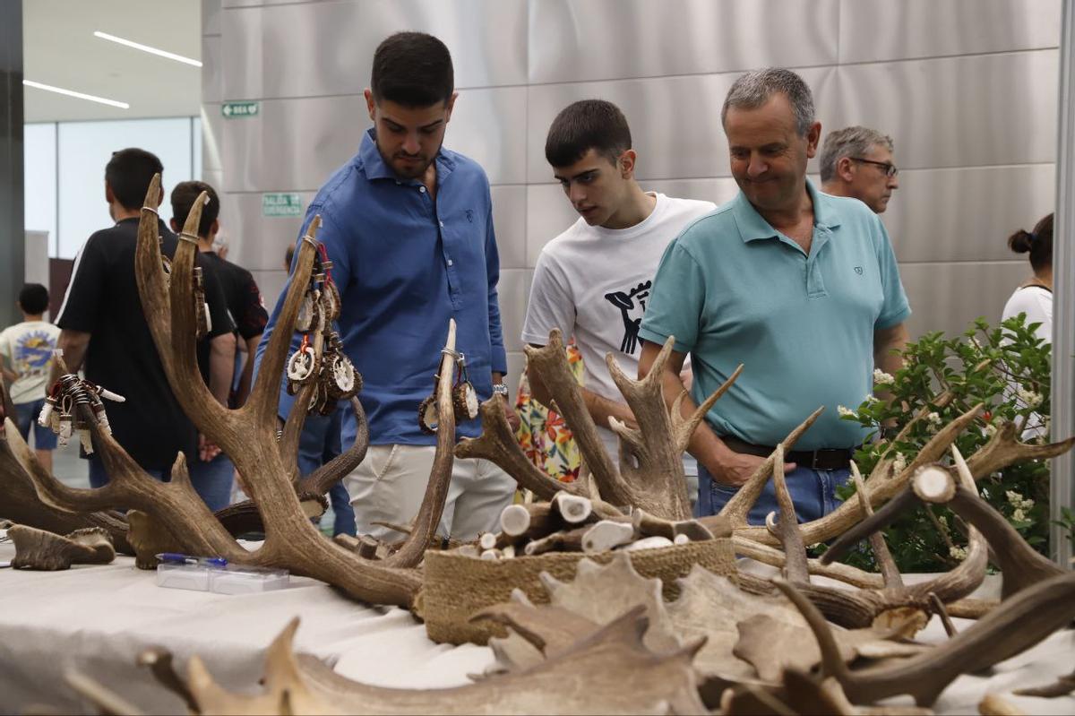 La feria Intercaza 2025, en imágenes