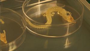 Artículos con forma de dragón fabricados mediante tecnología de impresión 3D micro-nano.