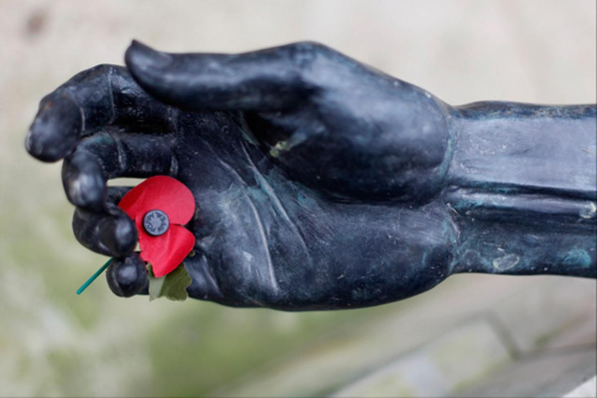 Una rosella, símbol que recorda el final de la primera guerra mundial a Anglaterra, descansa sobre una estàtua.