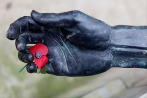 Una rosella, símbol que recorda el final de la primera guerra mundial a Anglaterra, descansa sobre una estàtua.