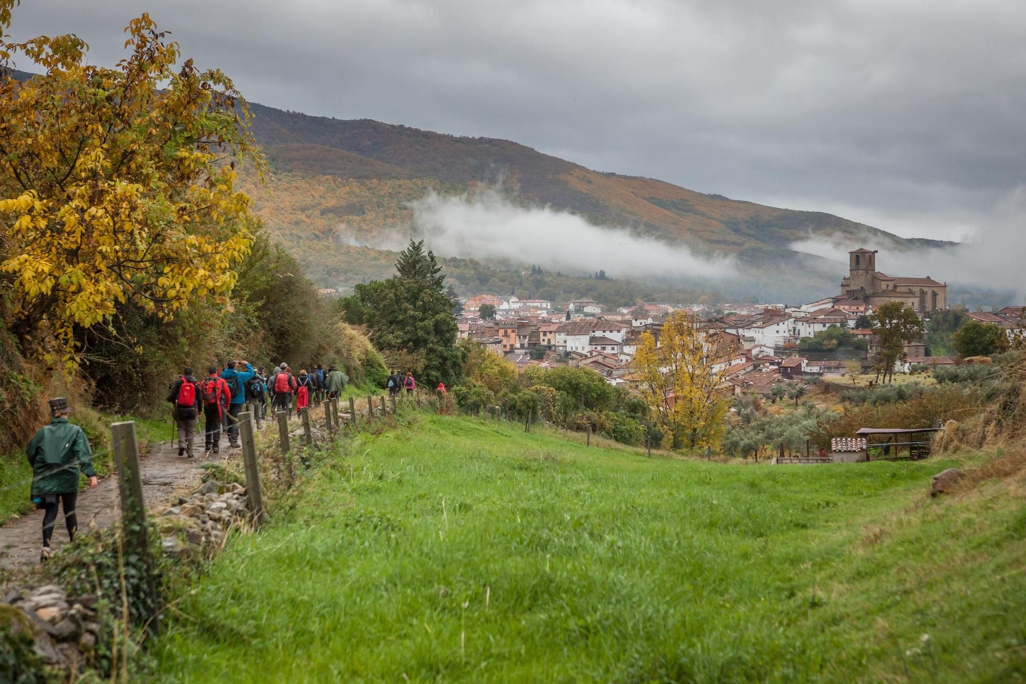 Marcha Senderista por el Valle del Ambroz