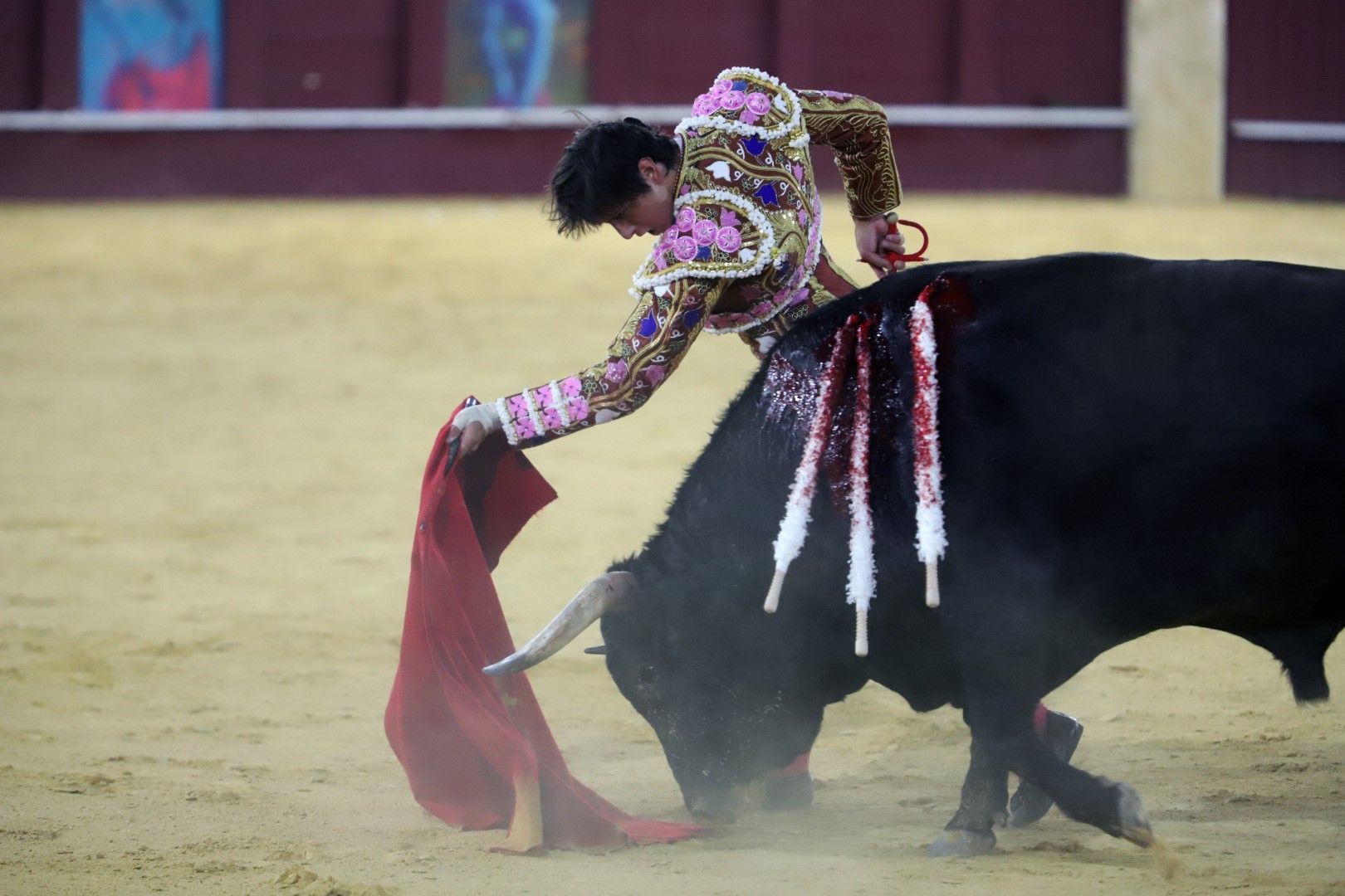 Roca Rey desata la locura en la "Picassiana" de Málaga