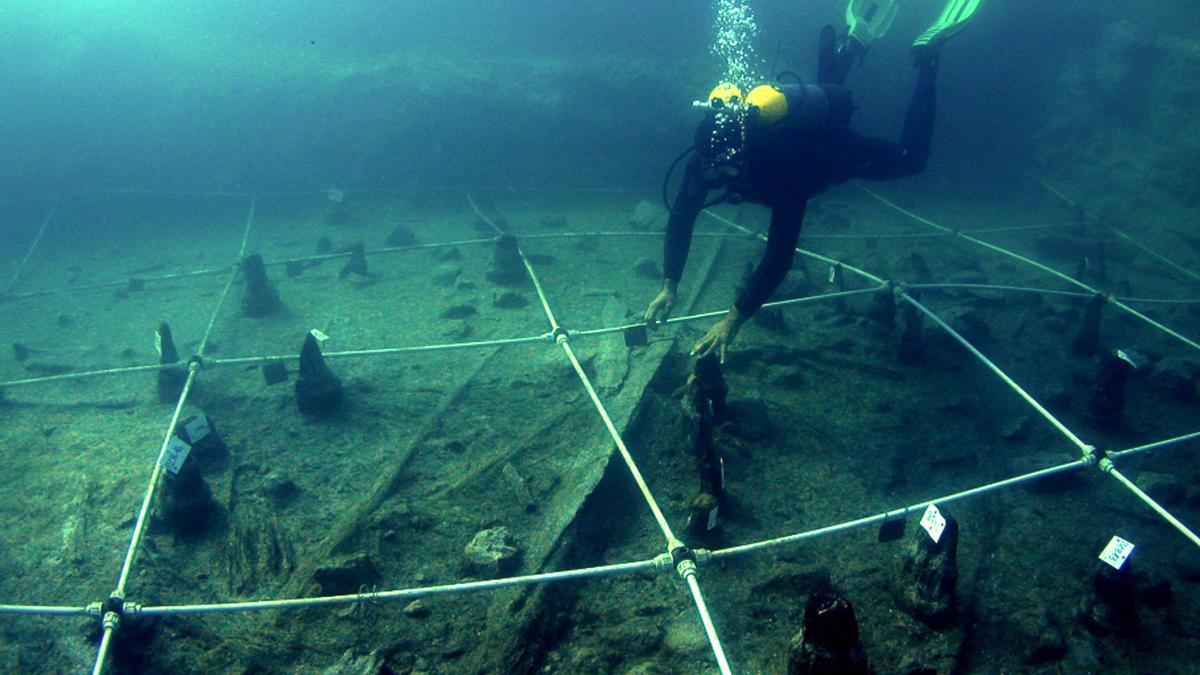 Encuentran plantas estupefacientes en un yacimiento de hace 7.500 años