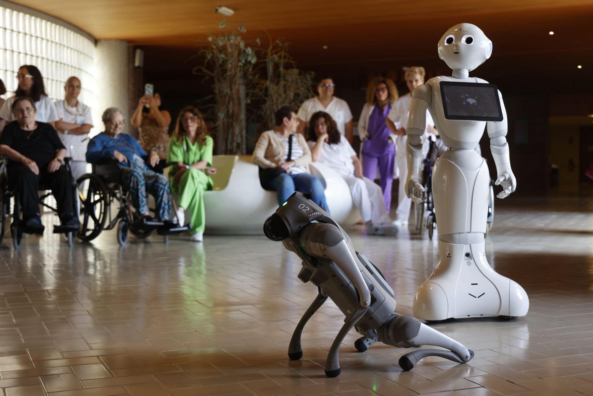Un humanoide y un perro robot en el Hogar Provincial de Alicante