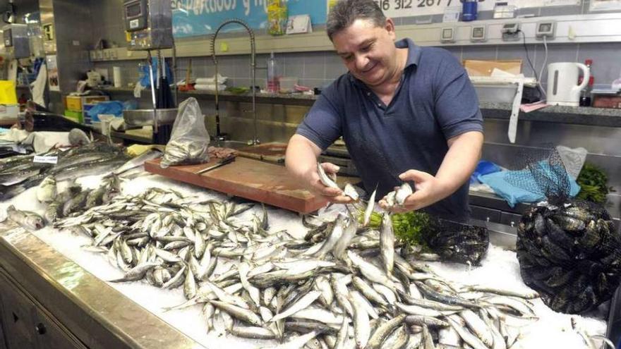 Un vendedor de pescado muestra sus sardinas en la plaza de Lugo.