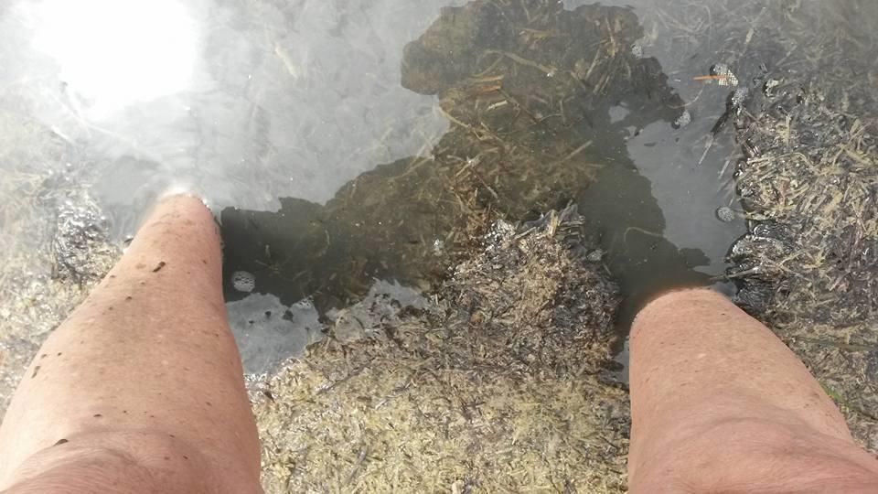 Lamentable estado de la isla Perdiguera del Mar Menor