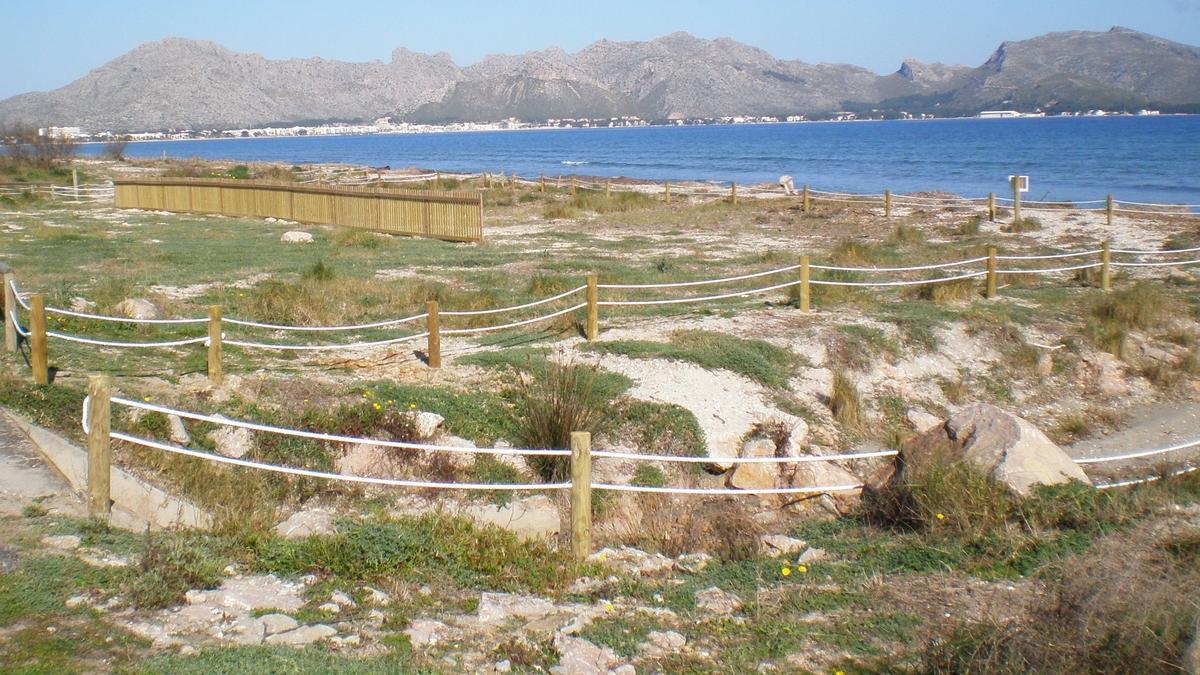 Dunas de s'Albufereta, la reserva natural ubicada entre Alcúdia y Pollença.