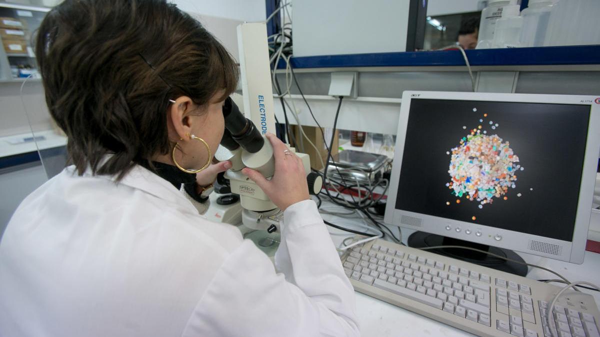 La Universidad de Alicante amplía en horario de tarde el uso de laboratorios