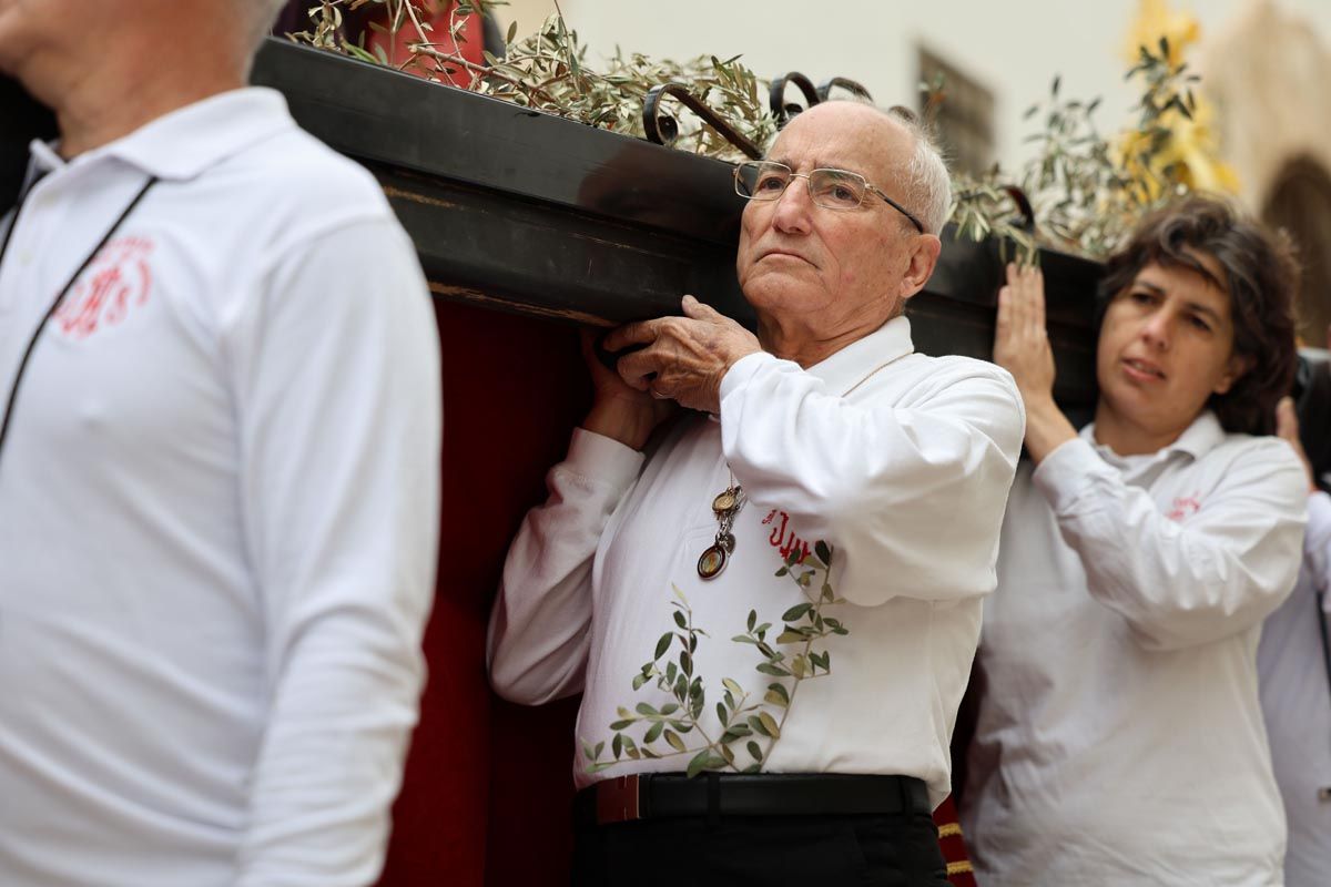 Todas las imágenes de la procesión de la Borriquita en Ibiza