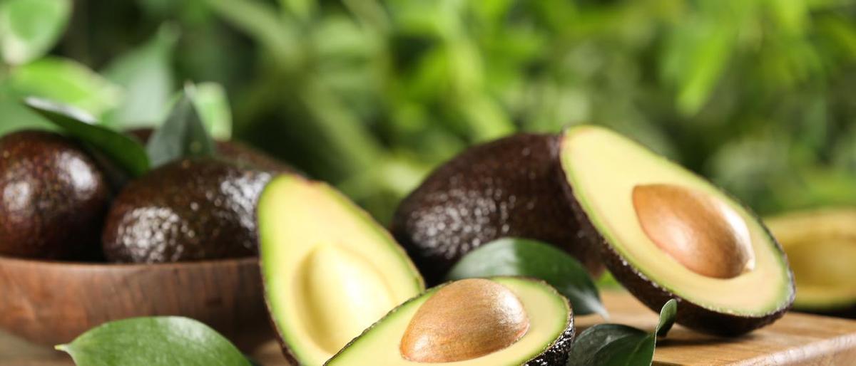 Espanya lidera la producció de fruita exòtica europea pels seus alvocats Espanya lidera la producció de fruita exòtica europea pels seus alvocats