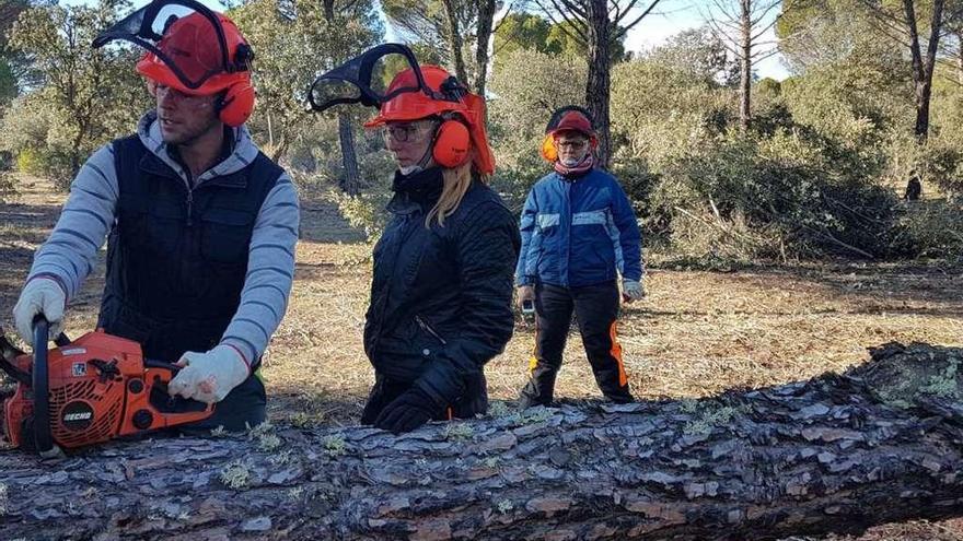 Trabajos de formación de tratamiento selvícola en el Monte Coto de Venialbo.