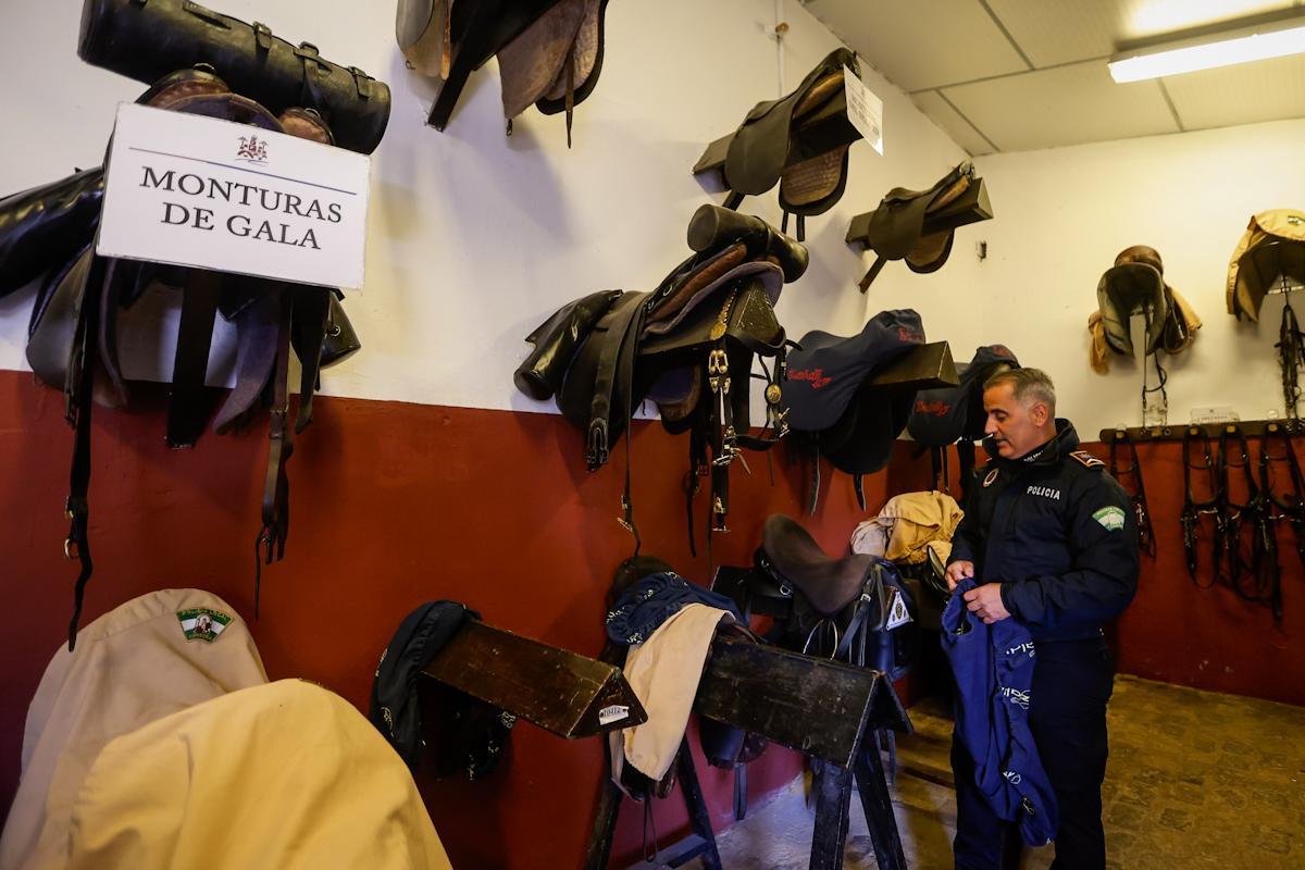 La unidad de caballería de la Policía Local de Córdoba cumple 150 años La unidad de caballería de la Policía Local de Córdoba cumple 150 años