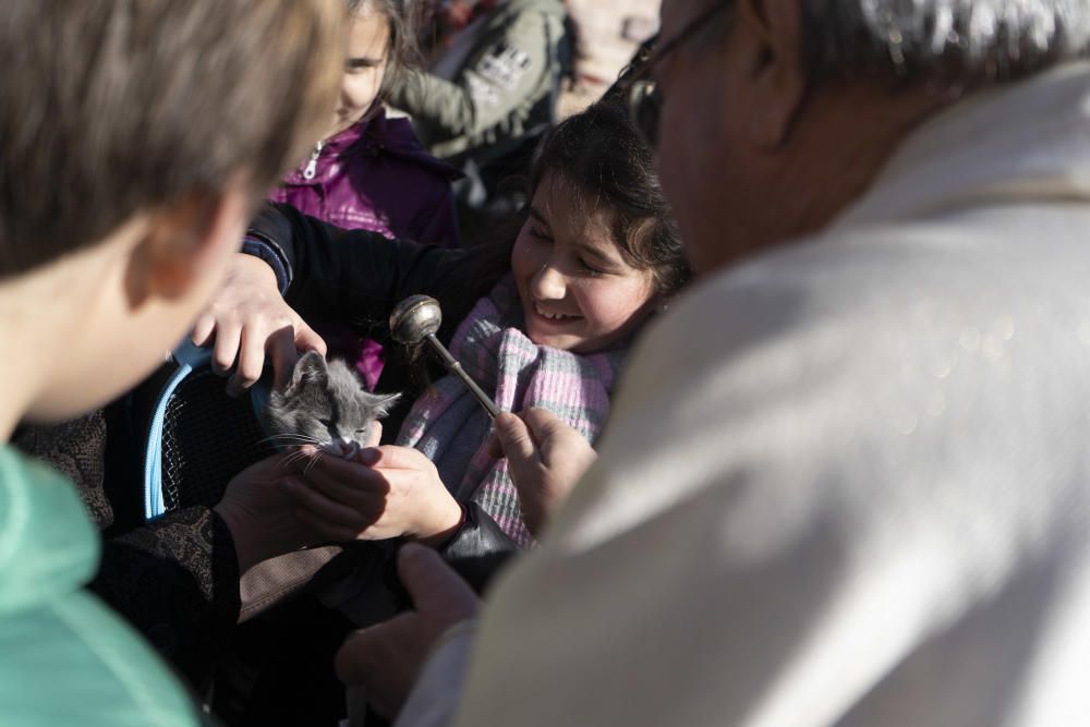 Monfarracinos celebra San Antón con las tradicionales "relaciones"