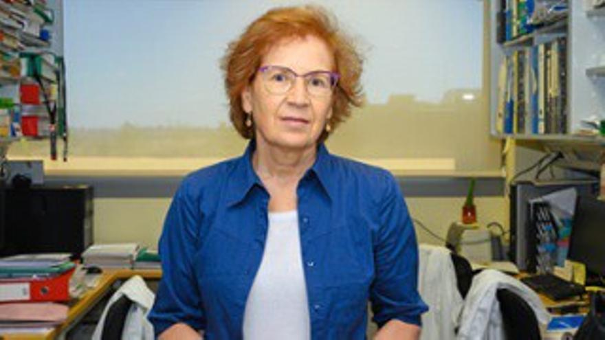 Marga de Val, coordinadora de la Plataforma de Salud Global del CSIC.