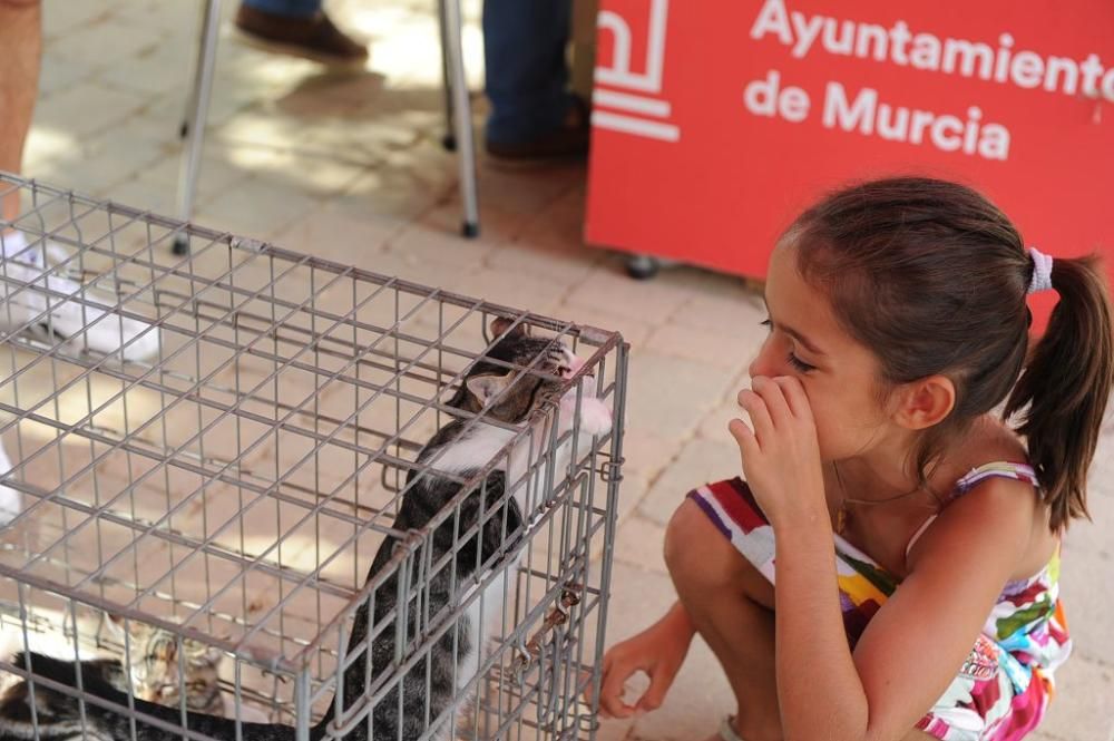 Muestra de mascotas en La Fama