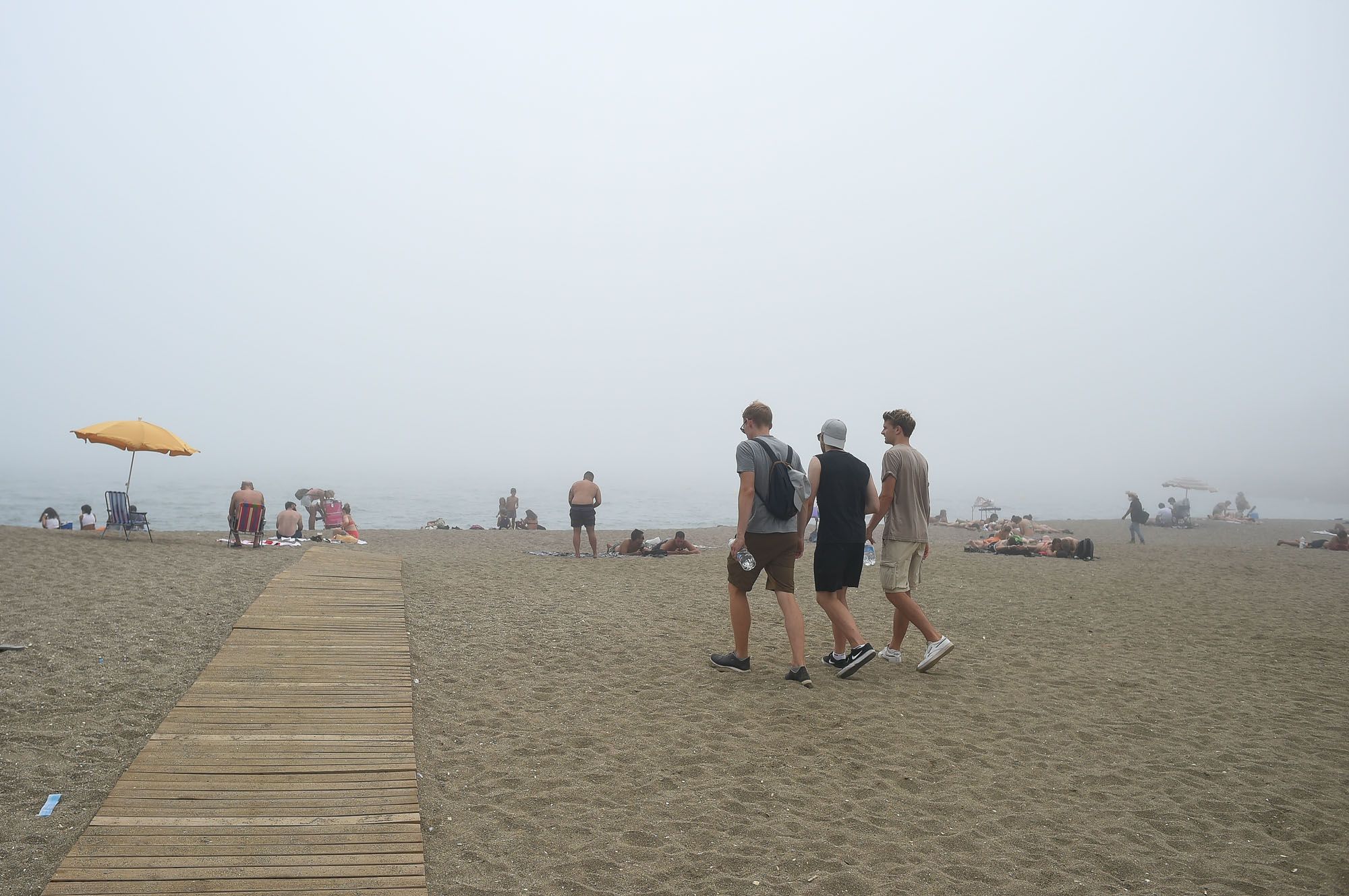 El taró cubre el litoral de Málaga