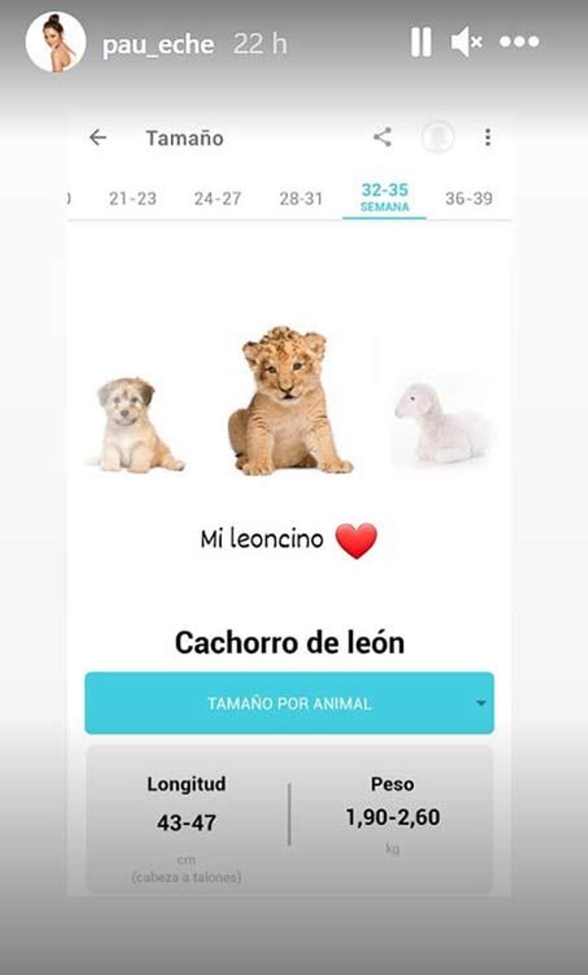 Paula Echevarría comparte el tamaño de Miguel Jr.