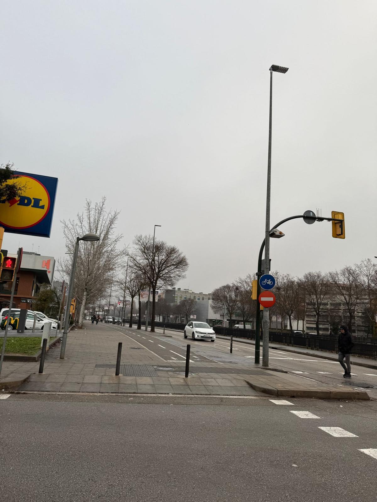 El carril bici de l'avinguda Josep Tarradellas.