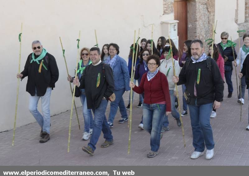 GALERÍA DE FOTOS - Romería Magdalena 2014 (2)