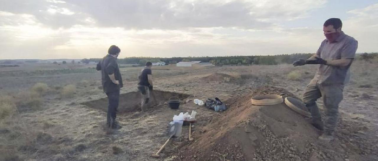 Imagen de la excavación realizada en el año 2019 en el yacimiento Las Peñas, de Quiruelas de Vidriales.