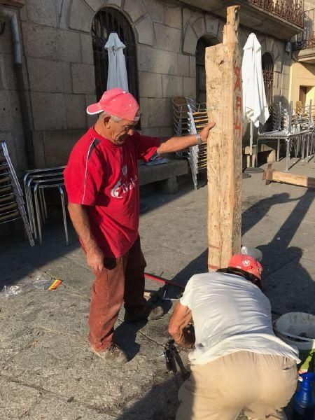 Las ovejas "toman" Puebla de Sanabria