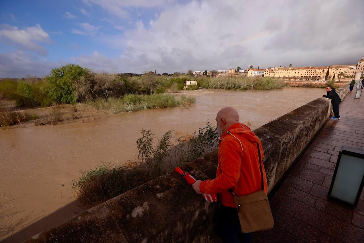 El Guadalquivir a su paso por Córdoba, en imágenes