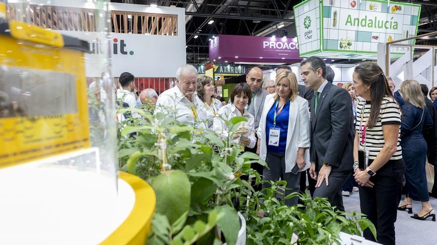 Agricultura impulsará una red de mercados locales ecológicos en Andalucía