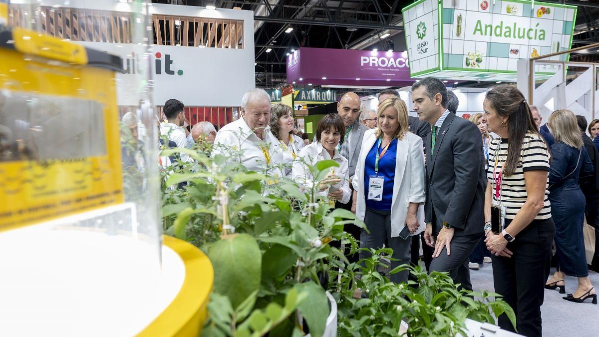 El consejero de Agricultura, durante su visita a Fruit Attraction en Madrid.