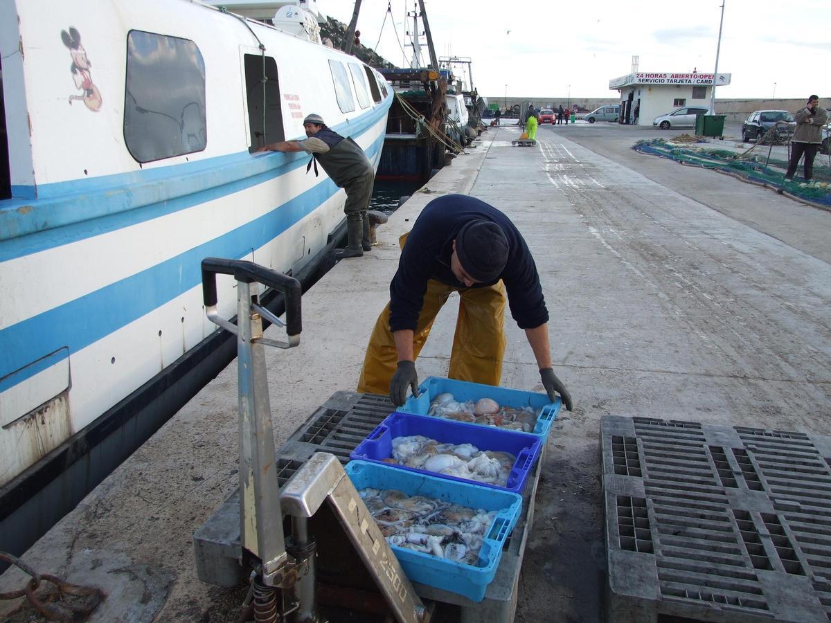 El puerto pesquero de Calp