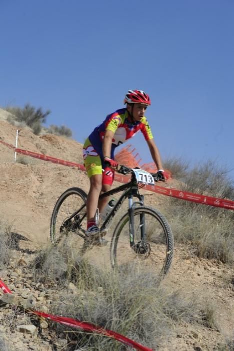 Mountain bike en Molina de Segura