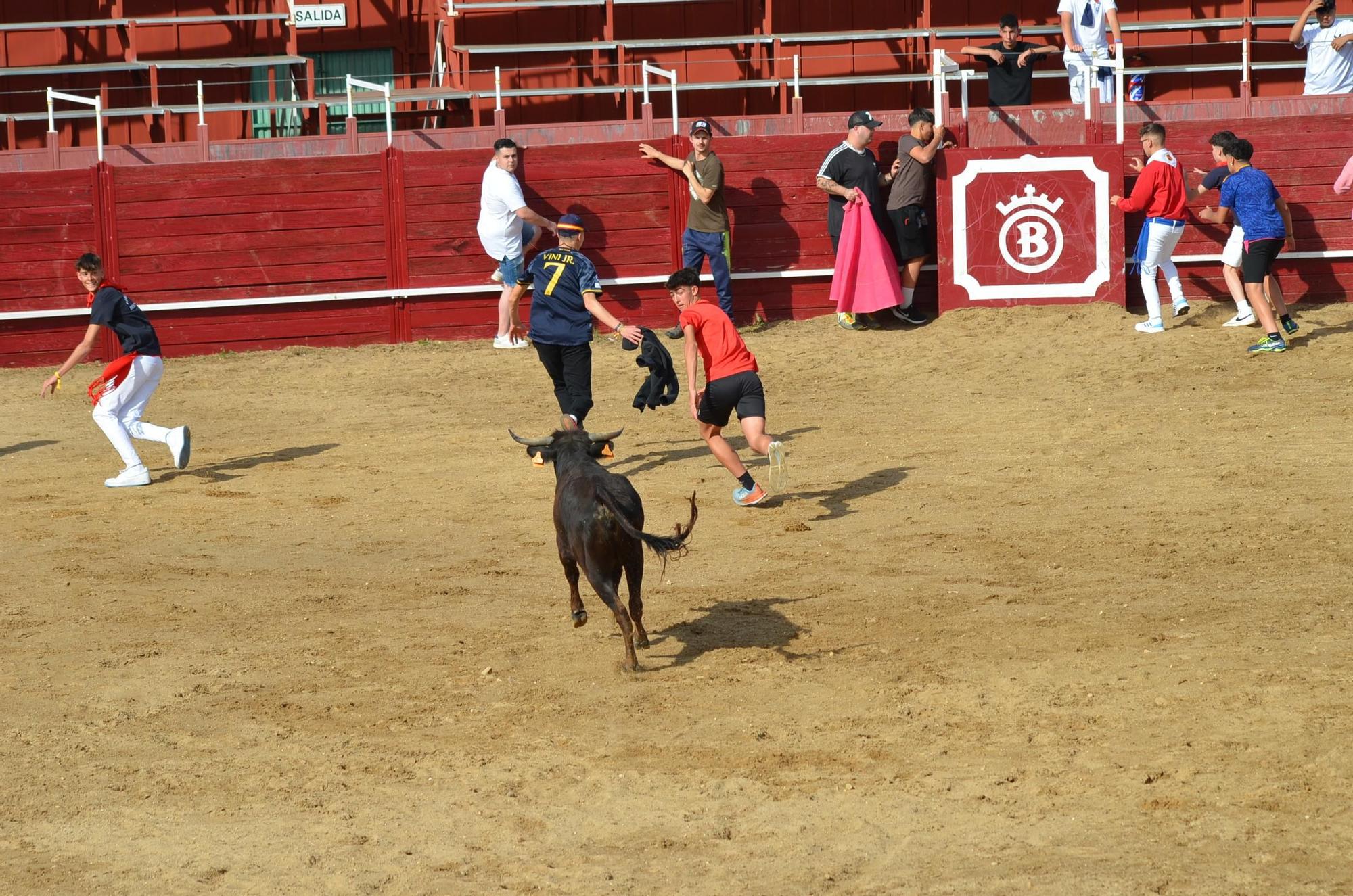 GALERÍA | La "verbena taurina" de Benavente en imágenes