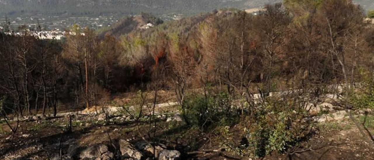 Los alcaldes reclaman más prevención tras las escasas ayudas por los incendios