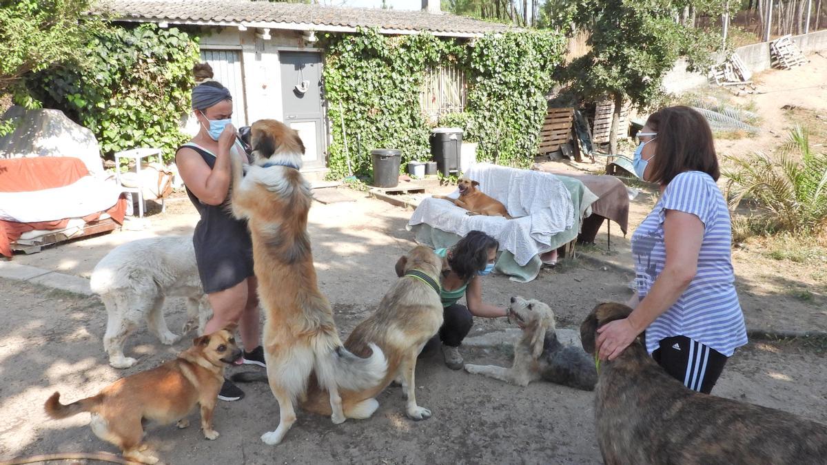 Voluntarias de Agallas en el refugio donde están los perros. //F.C.