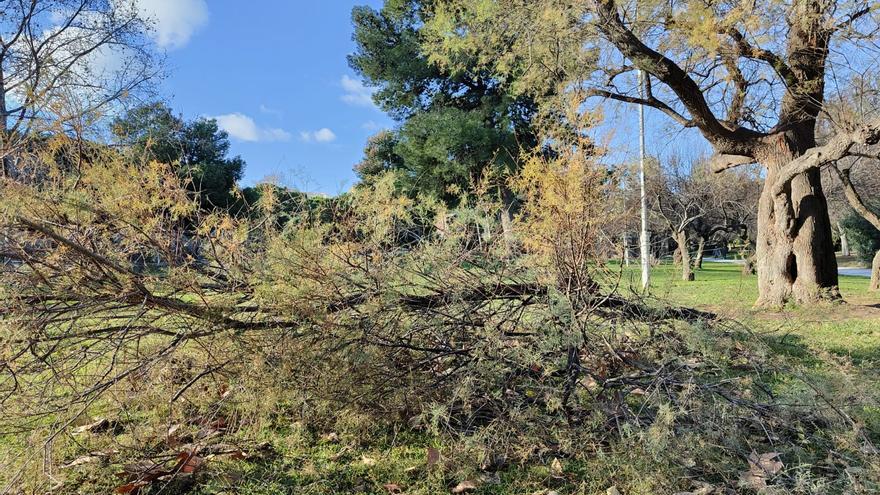 La borrasca Gérard deja vientos de 114 km/h en Morella y 109 en Xàtiva