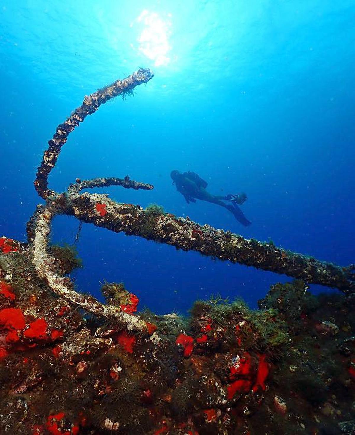 Fotografía de un ancla bajo el mar. | | E. COLLADO Y E. MACHADO