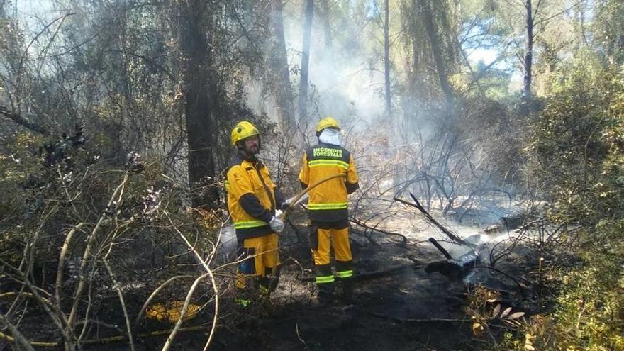 Dos fuegos arrasan una hectárea en Llubí y Alcúdia
