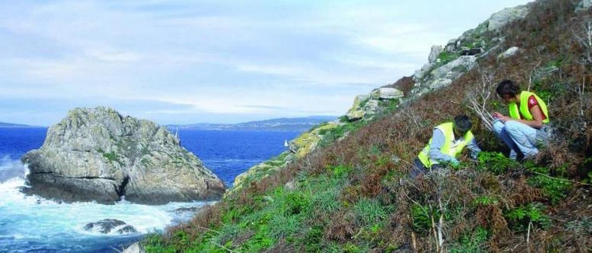 Les Cíes, un excepcional laboratori d’assaig per a estudis d’impacte mundial