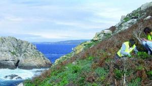 Les Cíes, un excepcional laboratori d’assaig per a estudis d’impacte mundial