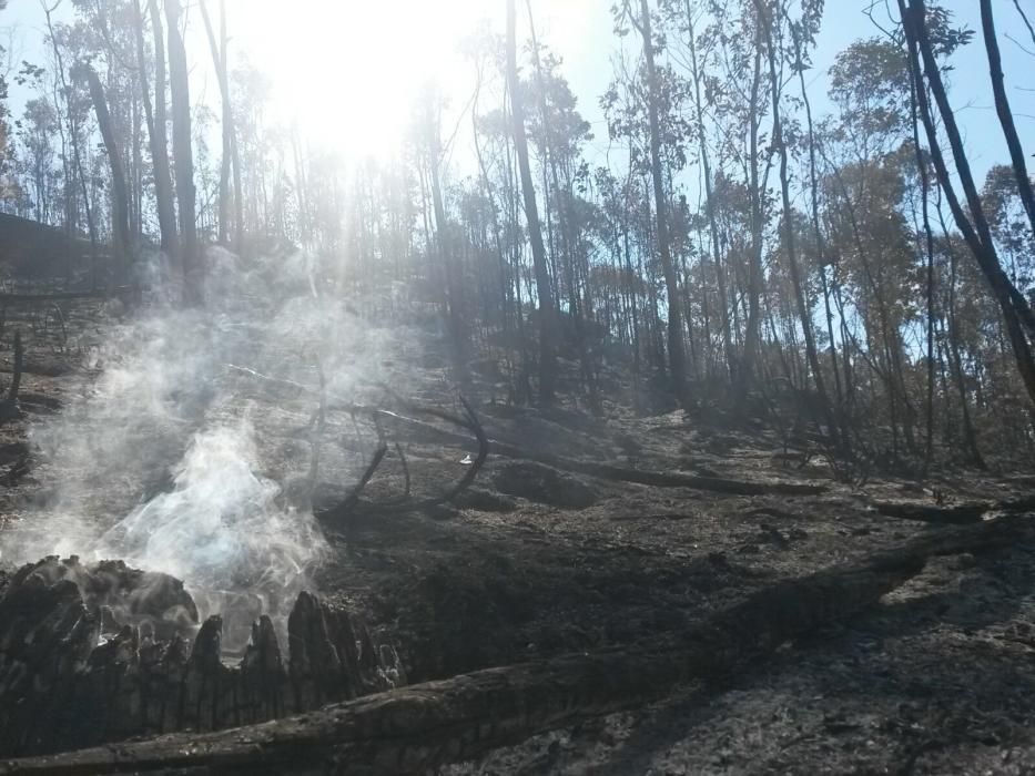 Incendio en Gondomar