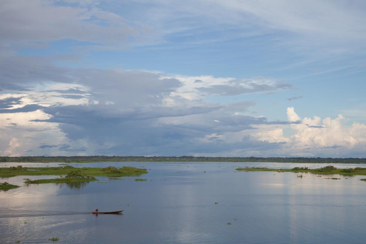 Paisaje Amazonas