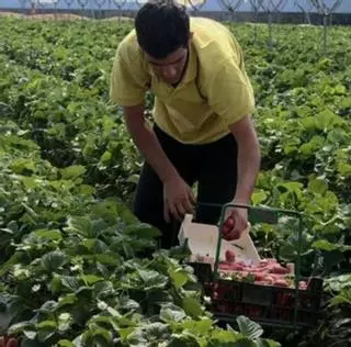 Multa de 130.000 euros a una empresa fresera por obstrucción a la labor de los inspectores