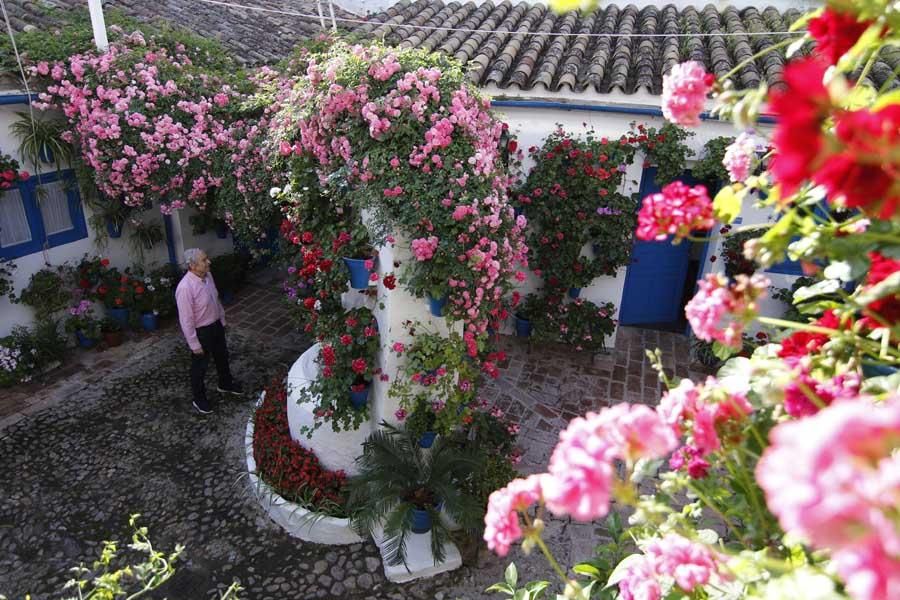 Los patios de Córdoba (1)