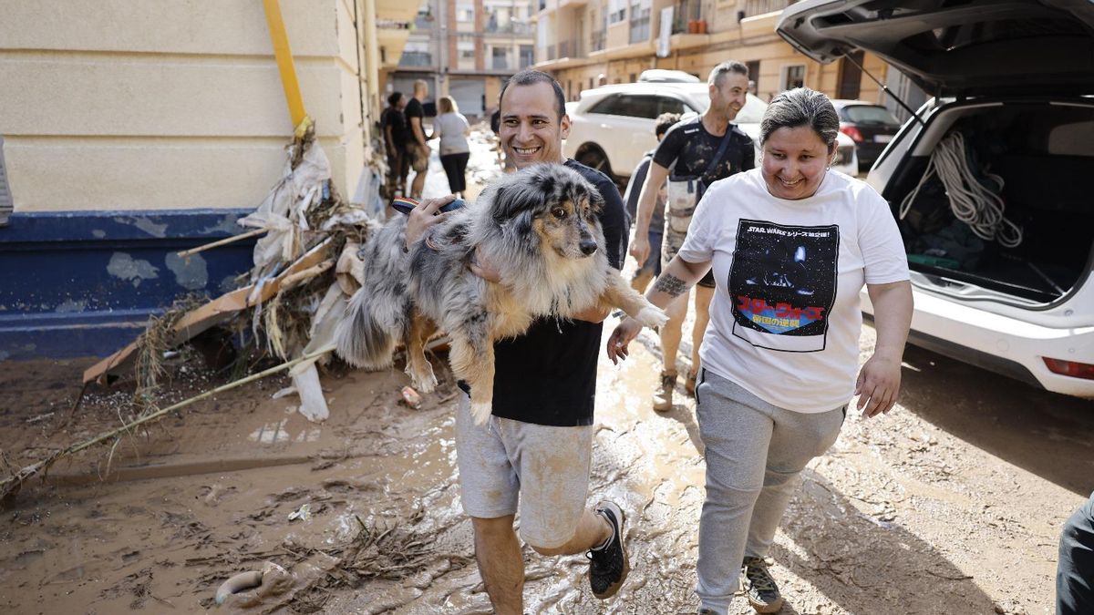 Un hombre ayuda a su perro en una de las zonas afectadas por la DANA.