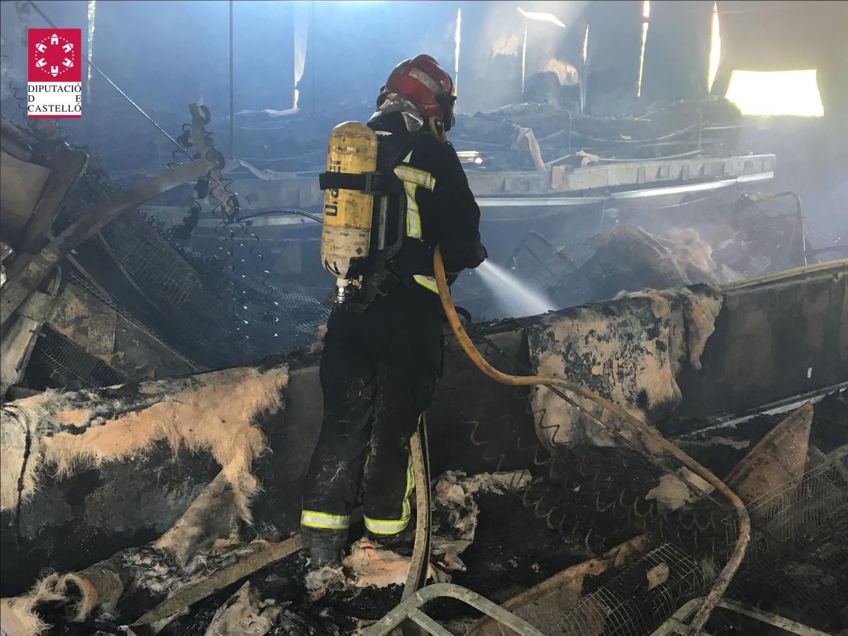 Mueren calcinados 500 conejos en Segorbe