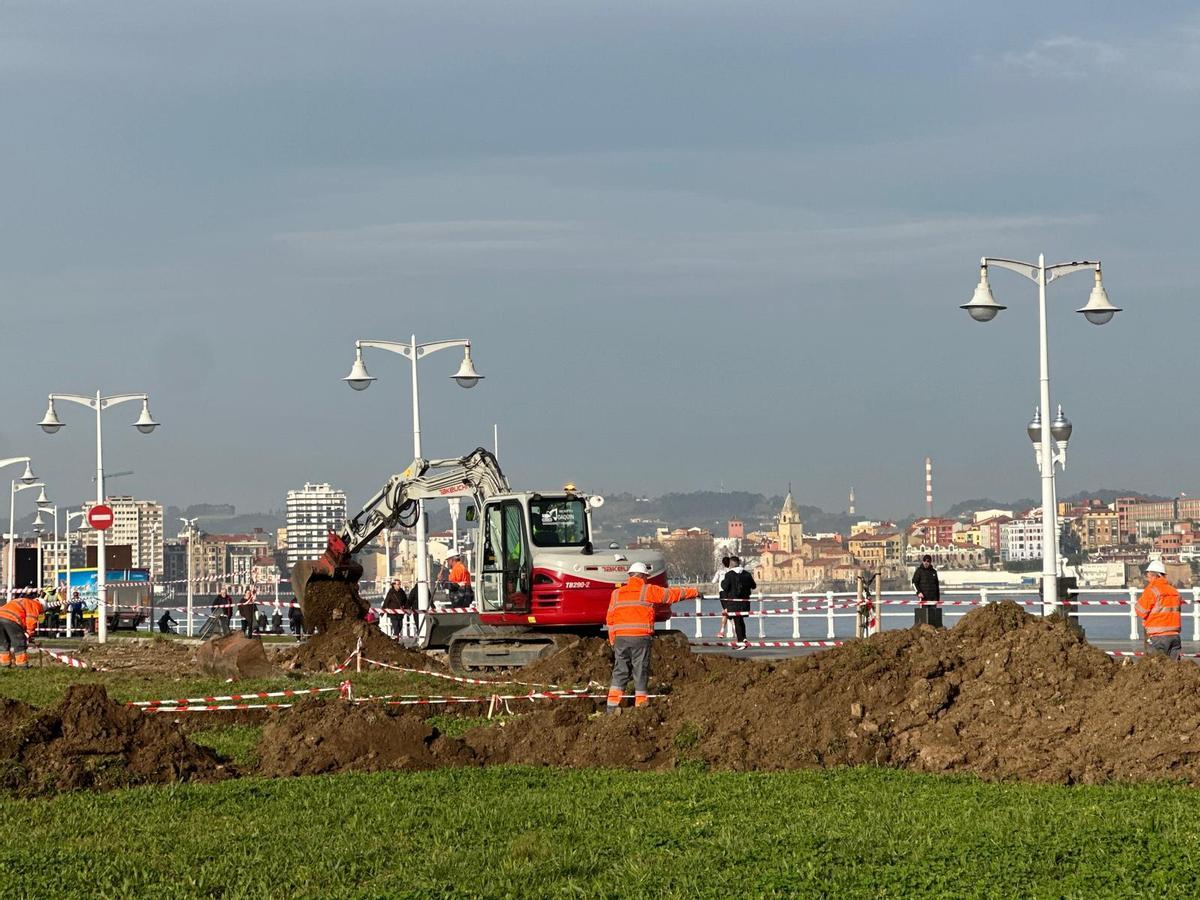 La playa verde y su concurso de ideas, en imágenes