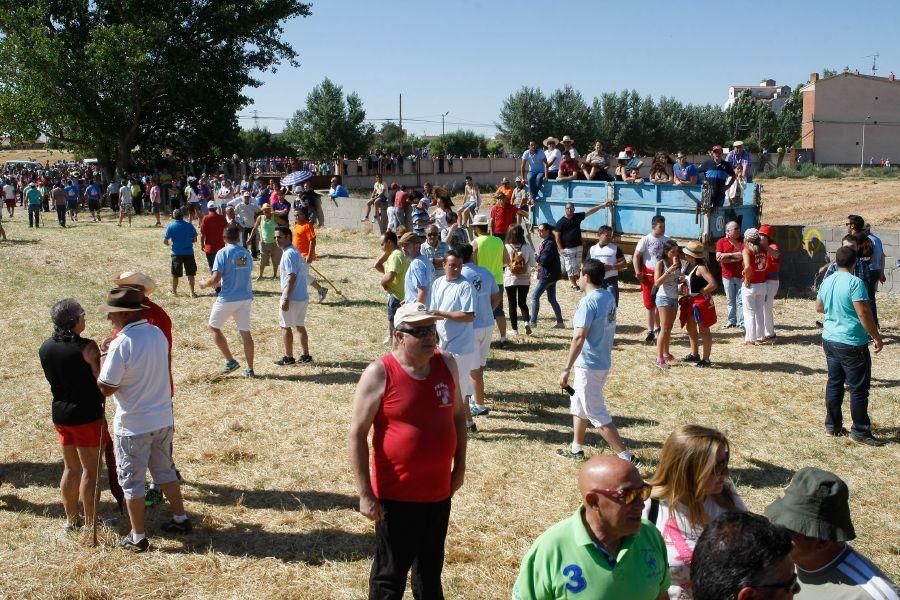 Fiestas en Zamora: Segudos espantes de Fuentesaúco