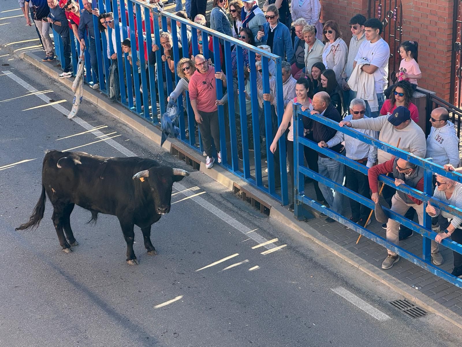La Bóveda "calienta motores" con los "toros del Agua"