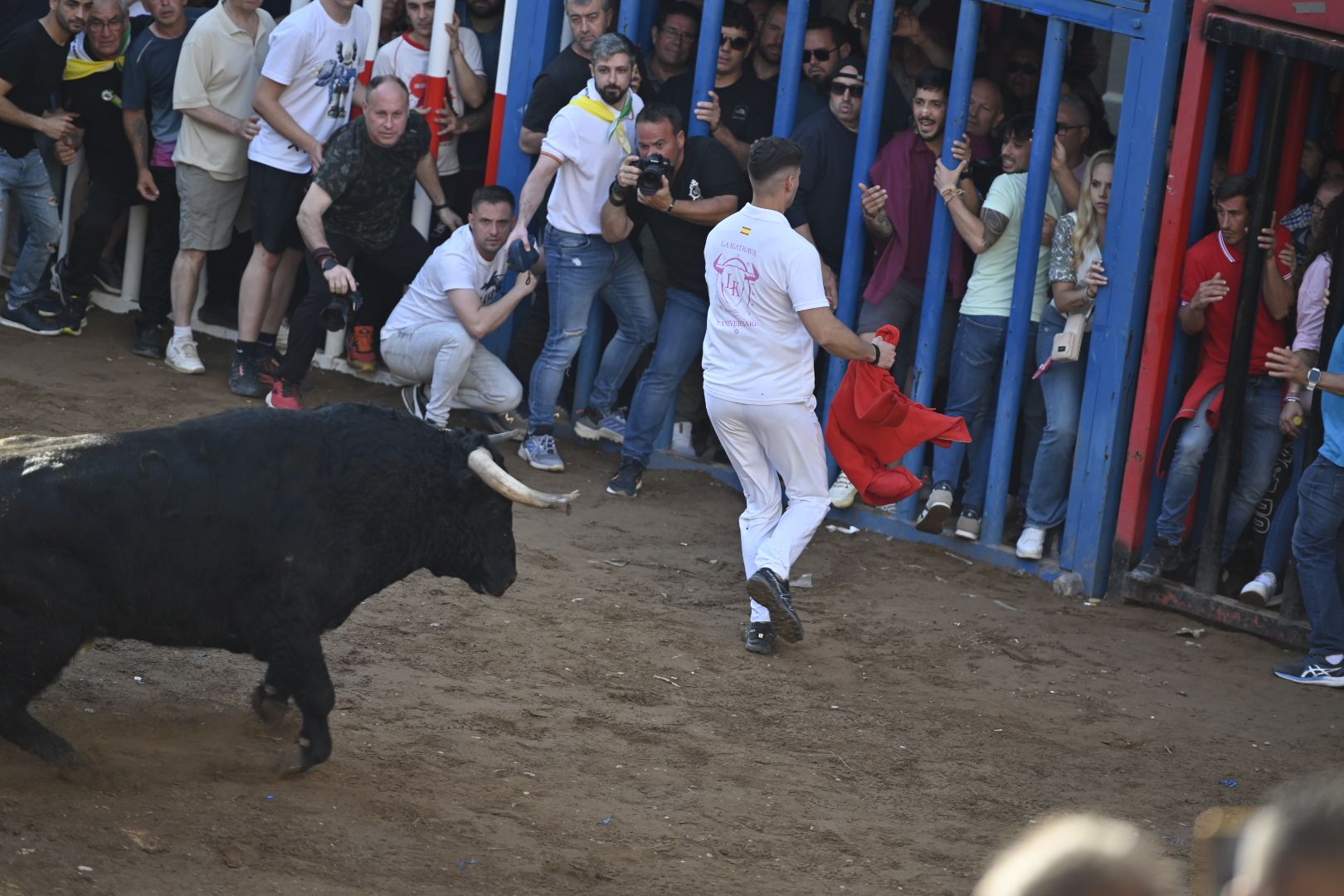 Galería | Primera tarde de toros en Almassora