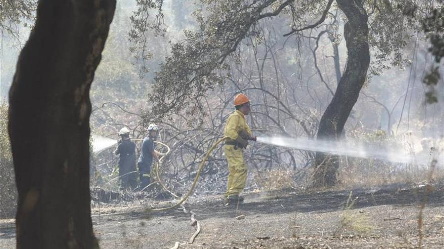 La Junta pide la máxima precaución ante el riesgo extremo de incendios