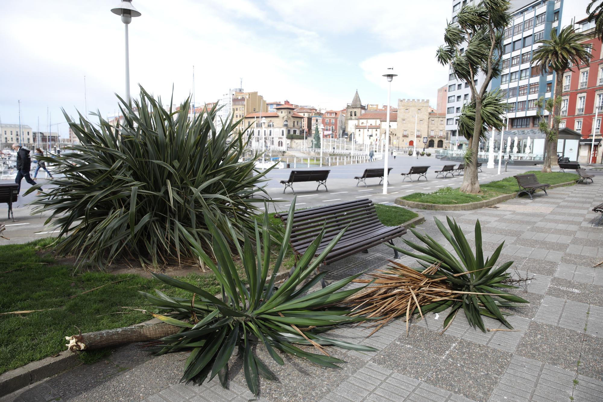 En imágenes: Así fue el impresionante temporal de viento que azotó Gijón este mediodía